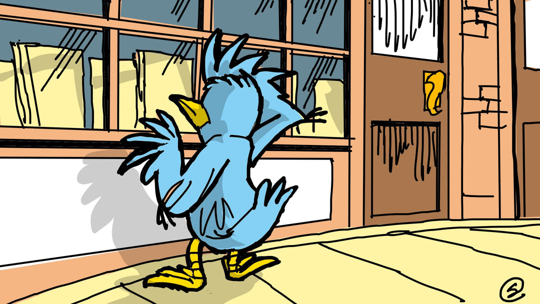 Window Shopping Only